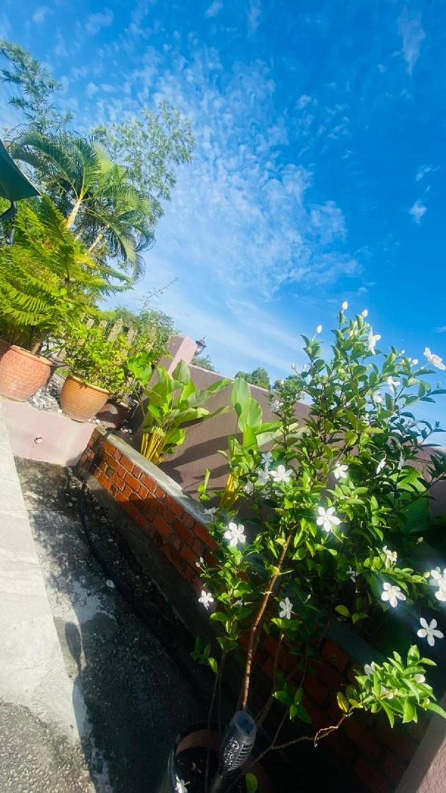 Seri Mutiara Motel