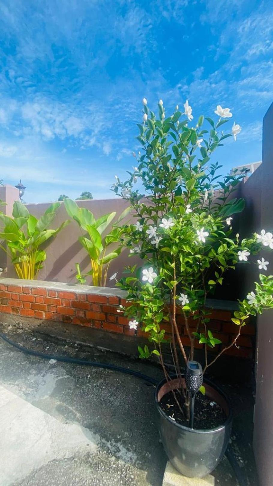 Seri Mutiara Kuah